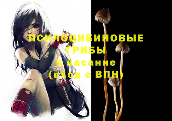 apvp Балахна
